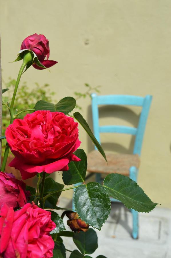 B&B Lady Cocca Savio di Ravenna Bagian luar foto