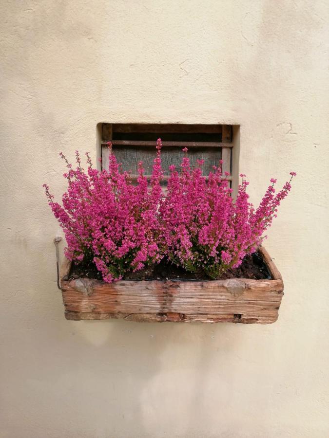 B&B Lady Cocca Savio di Ravenna Bagian luar foto