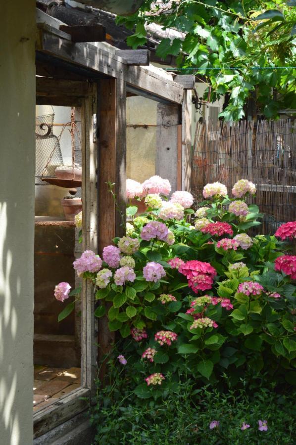 B&B Lady Cocca Savio di Ravenna Bagian luar foto