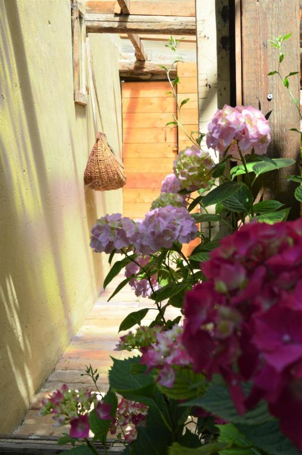 B&B Lady Cocca Savio di Ravenna Bagian luar foto